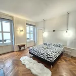 Maison Lecoq #terrasse#hypercentre#parking Apartment *